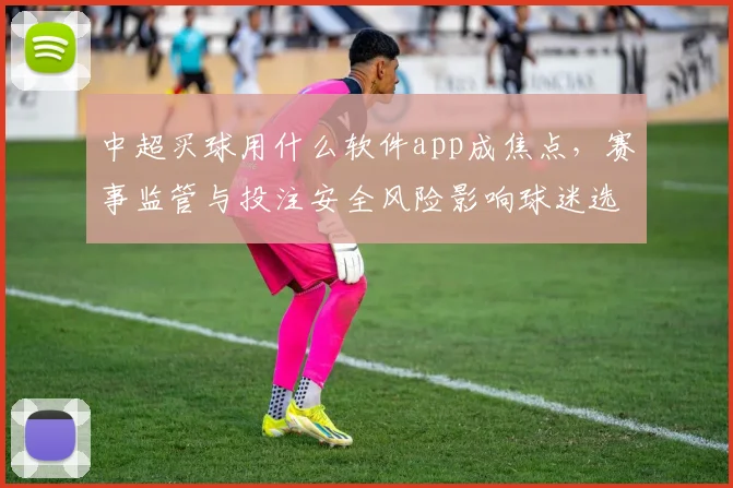 中超买球用什么软件app成焦点，赛事监管与投注安全风险影响球迷选择