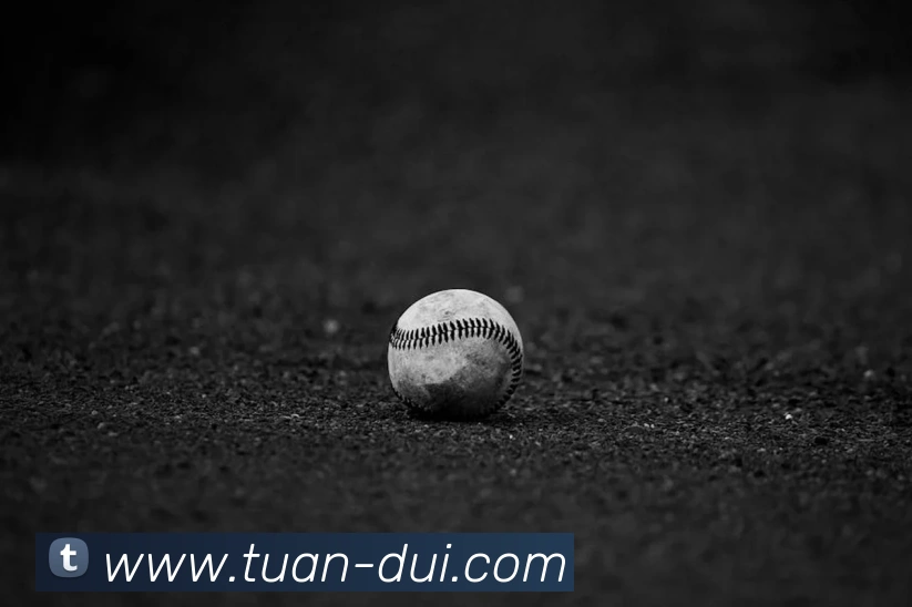 爱体育登陆地址平台生态图