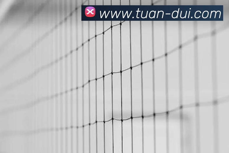 辅助工具 辅助工具